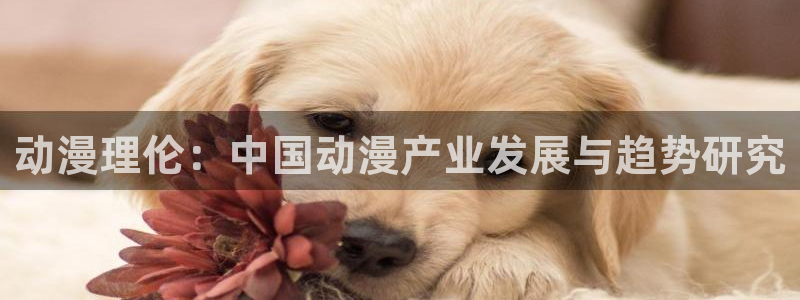 哈哩哈哩零食