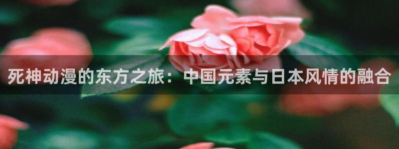 哈哩哈哩正版下载