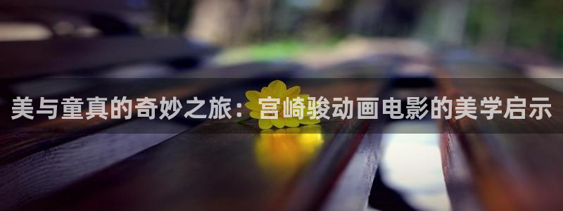 哈哩哈哩官网_halihali入口：美与童真的奇妙之旅：宫崎骏动画电影的美学启示