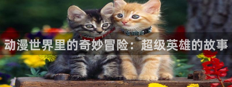 哈哩哈哩动漫官网入口：动漫世界里的奇妙冒险：超级英雄的故事